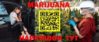 прущие грибы Краснодар