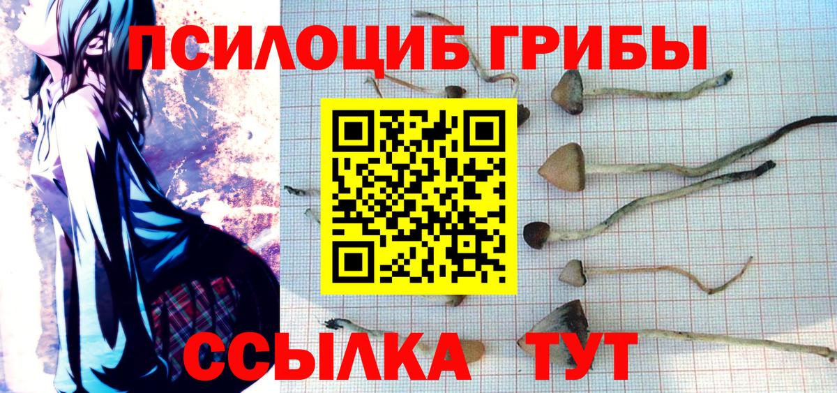 Псилоцибиновые грибы Cubensis Калуга